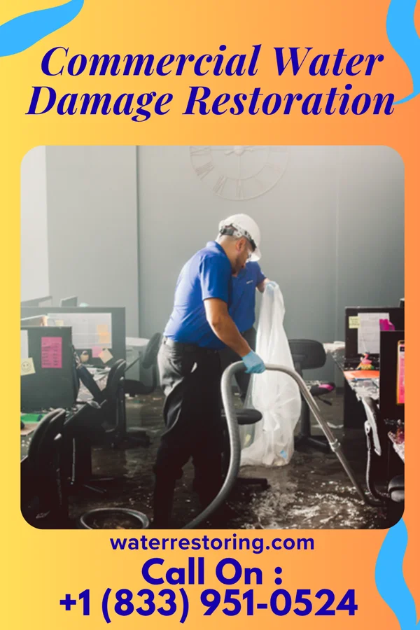 Commercial Water Damage Restoration in Jeisyville, IL