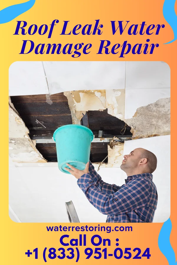 Roof Leak Water Damage Repair in Jeisyville, IL